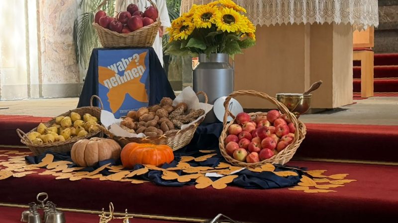 Noticias breves 2026