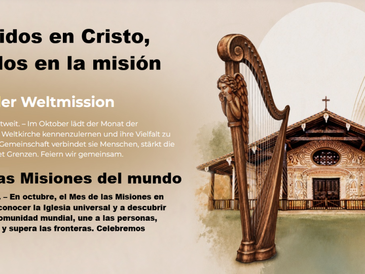Reflexión diaria